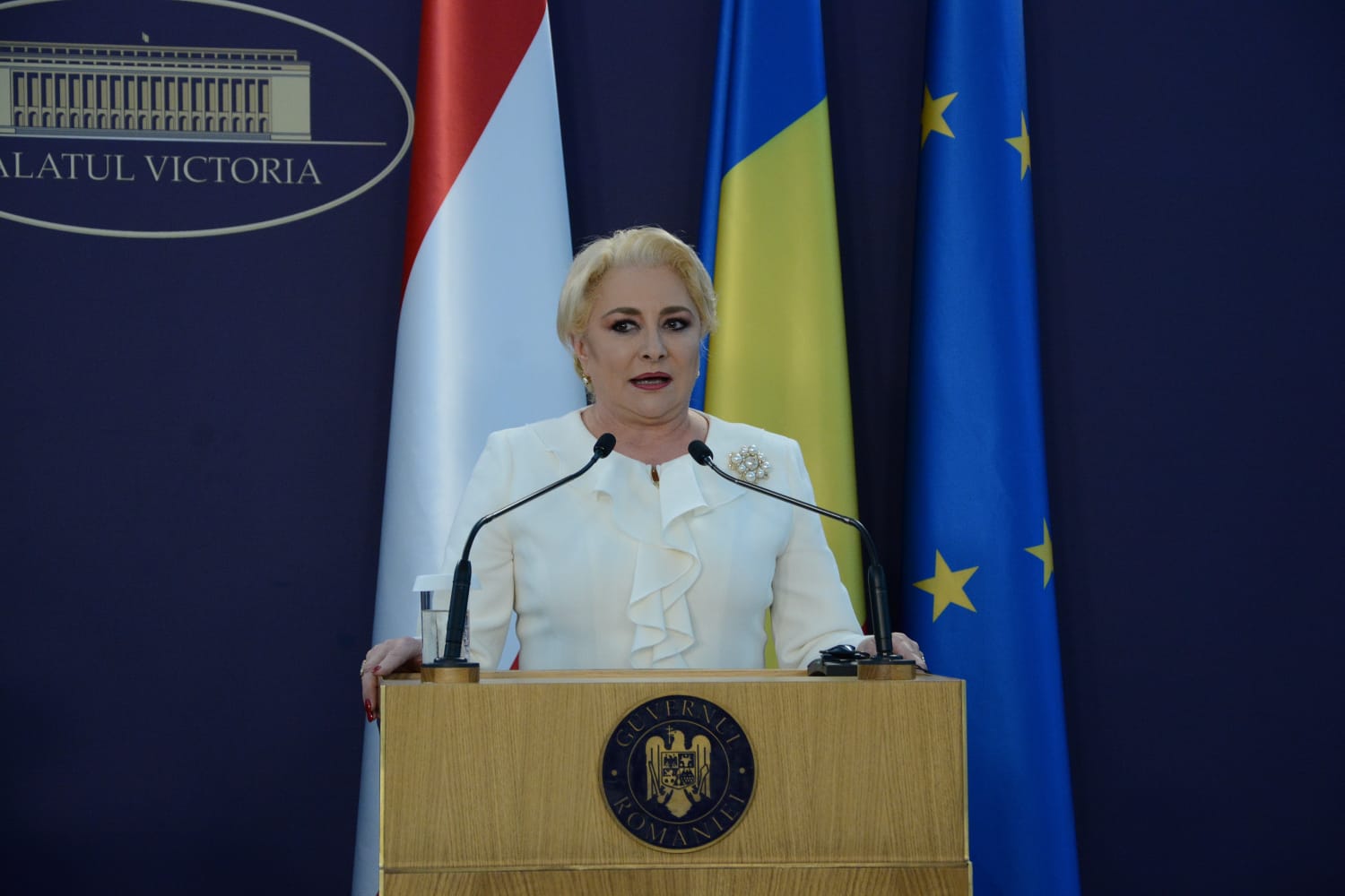 FOTO | România a preluat simbolic președinția Consiliului UE de la Austria. Cancelarul Sebastian Kurz, întâlniri cu președintele Klaus Iohannis și premierul Viorica Dăncilă