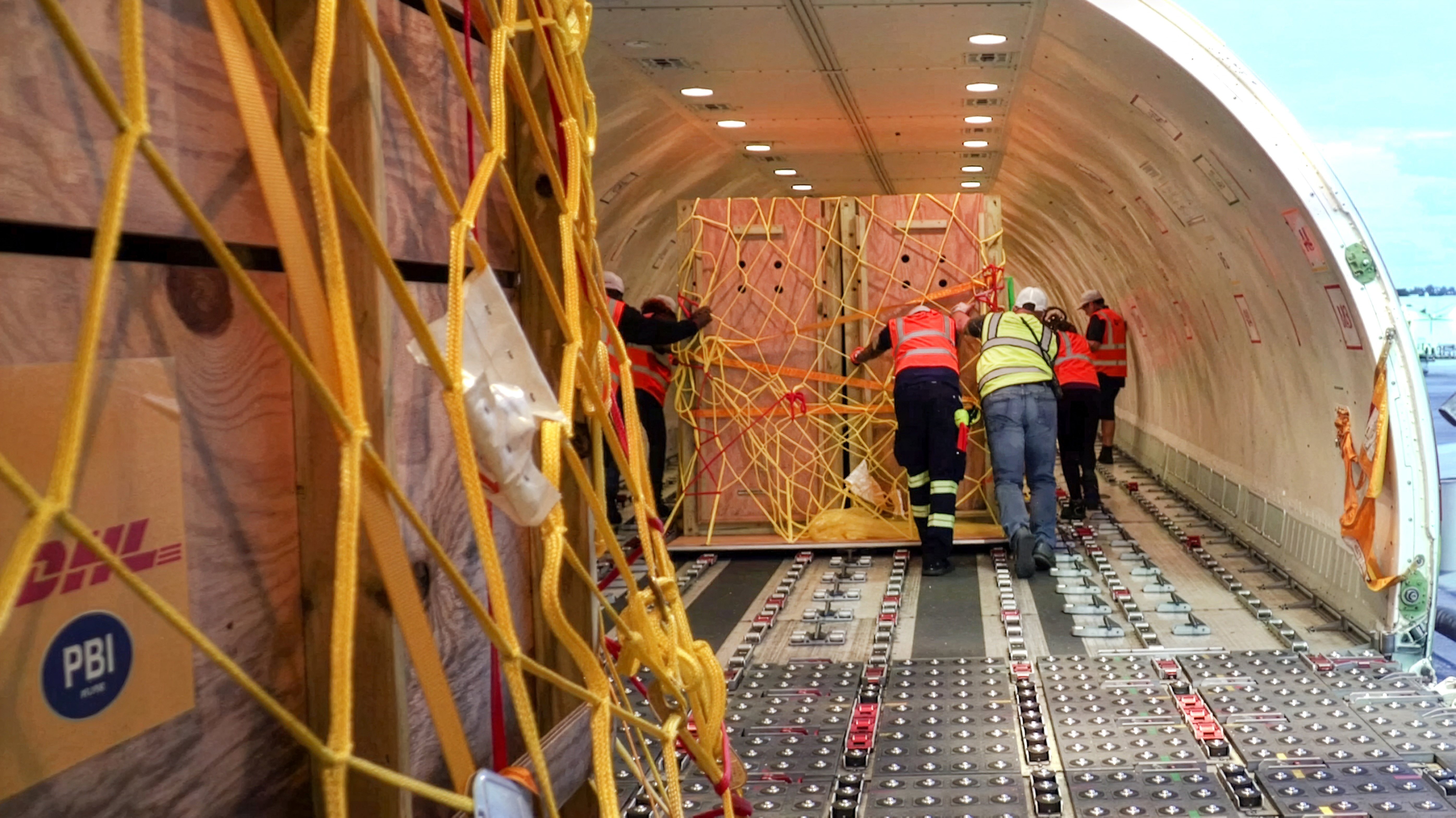 Când coletele au prins viață: cum să transporți cu avionul antilope și babuini? Cele mai neobișnuite livrări făcute în 2025