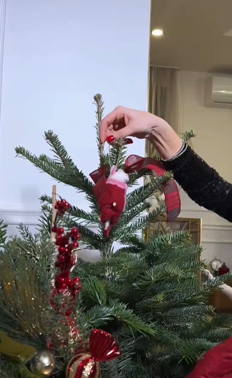 Imagini din casa Ancăi Serea, decorată de Crăciun. A împodobit doi brazi, unul e alb și excentric, iar altul e natural, în ghiveci