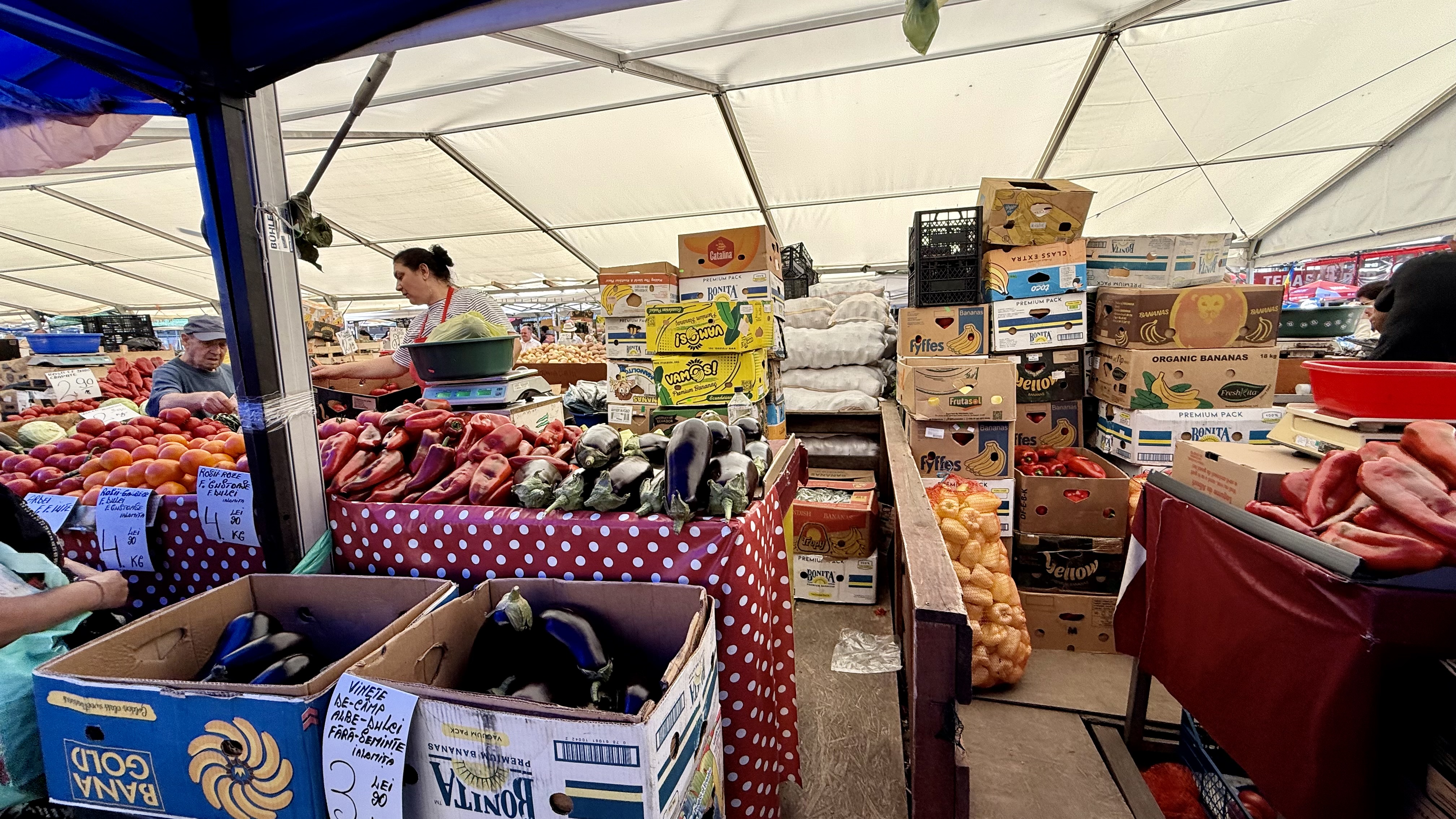 Cât costă kilogramul de vinete în piețe. Românii stau la cozi pentru salata preferată a verii