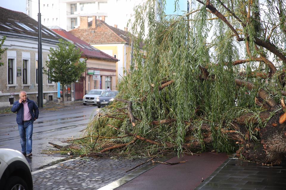 FOTO & VIDEO | Prăpăd după furtună în Cluj. Imaginile dezastrului, publicate de primarul Emil Boc