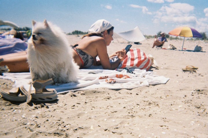 Imagini cu Amalia Enache în costum de baie. Cum a fost surprinsă știrista la plajă