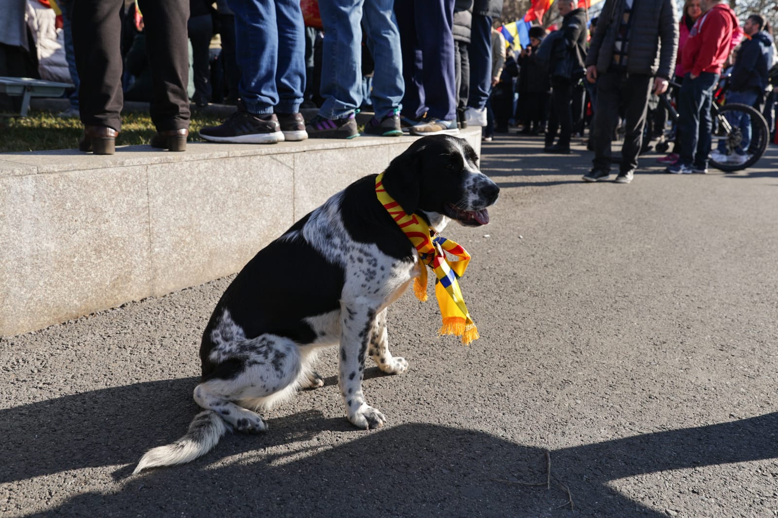 Oameni urcați pe blocuri în București ca să vadă marșul susținătorilor lui Călin Georgescu