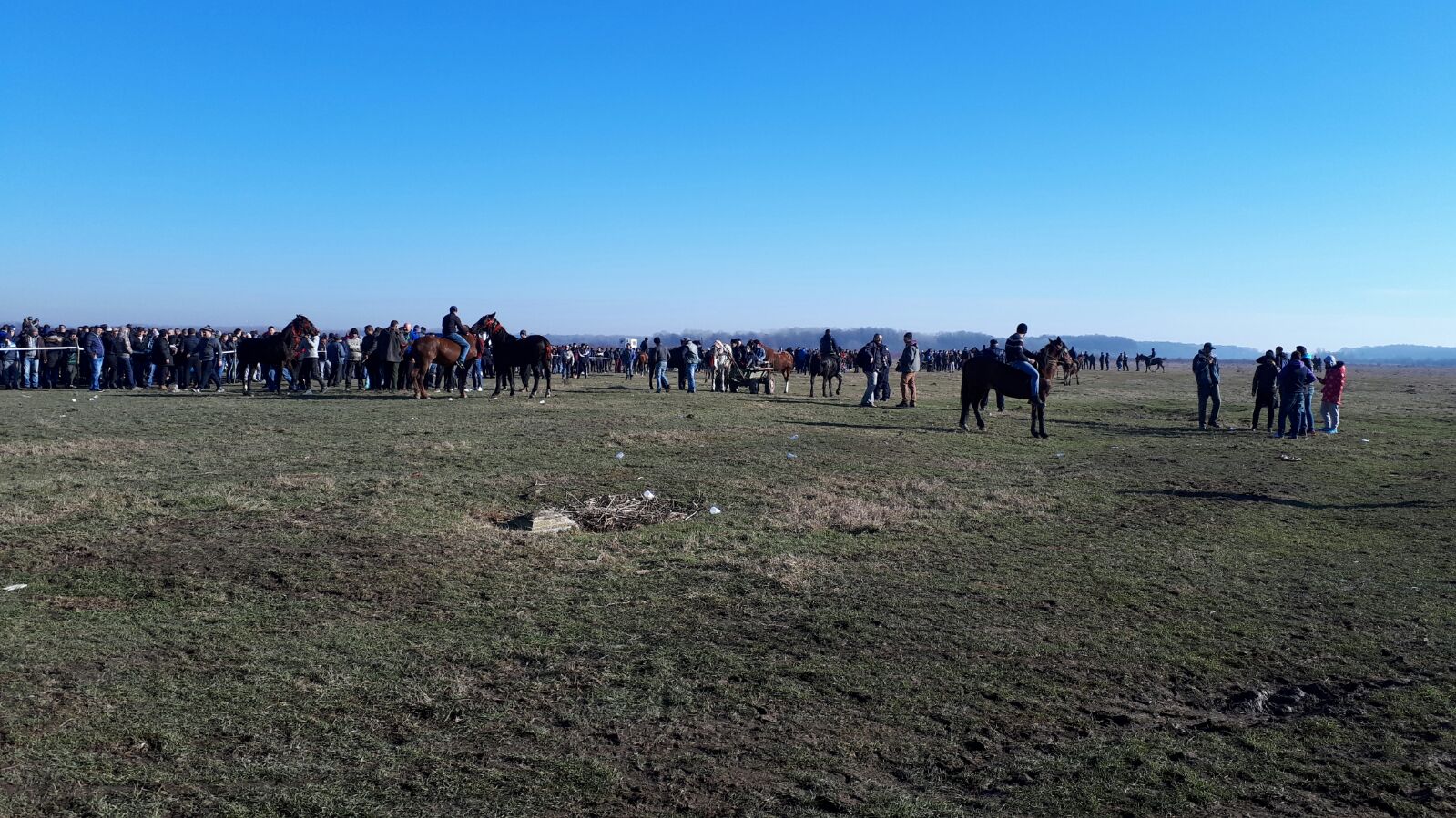 REPORTAJ: Ca să nu mai fie bătuți, caii nu mai intră la proba de tracțiune, la Botezul Cailor de la Pietroșani| FOTO