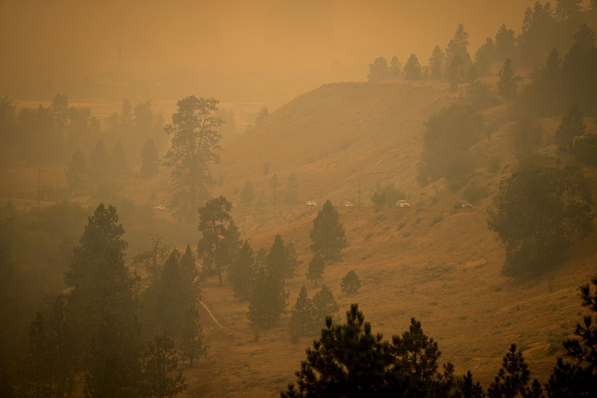 Incendii de vegetație în Canada. Apel al autorităților pentru respectarea ordinelor de evacuare. „Este o chestiune de viaţă şi de moarte”