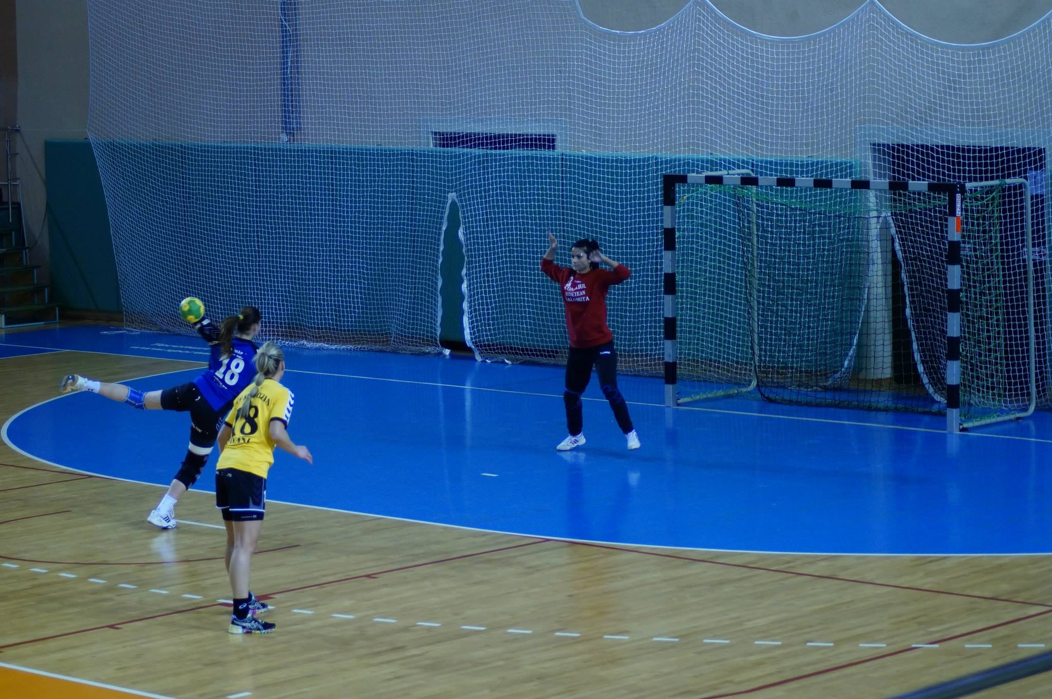 Antrenorul care a lansat-o în handbal pe Andreea Nica: ^”Era curajoasă, dar nu se exterioriza. Făcuse Psihologia”. Munca ar fi putut-o salva!