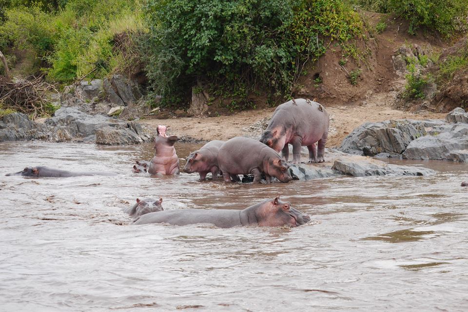 Un colaborator de-al lui Piţurcă îşi petrece vacanţa în Tanzania / GALERIE FOTO&VIDEO