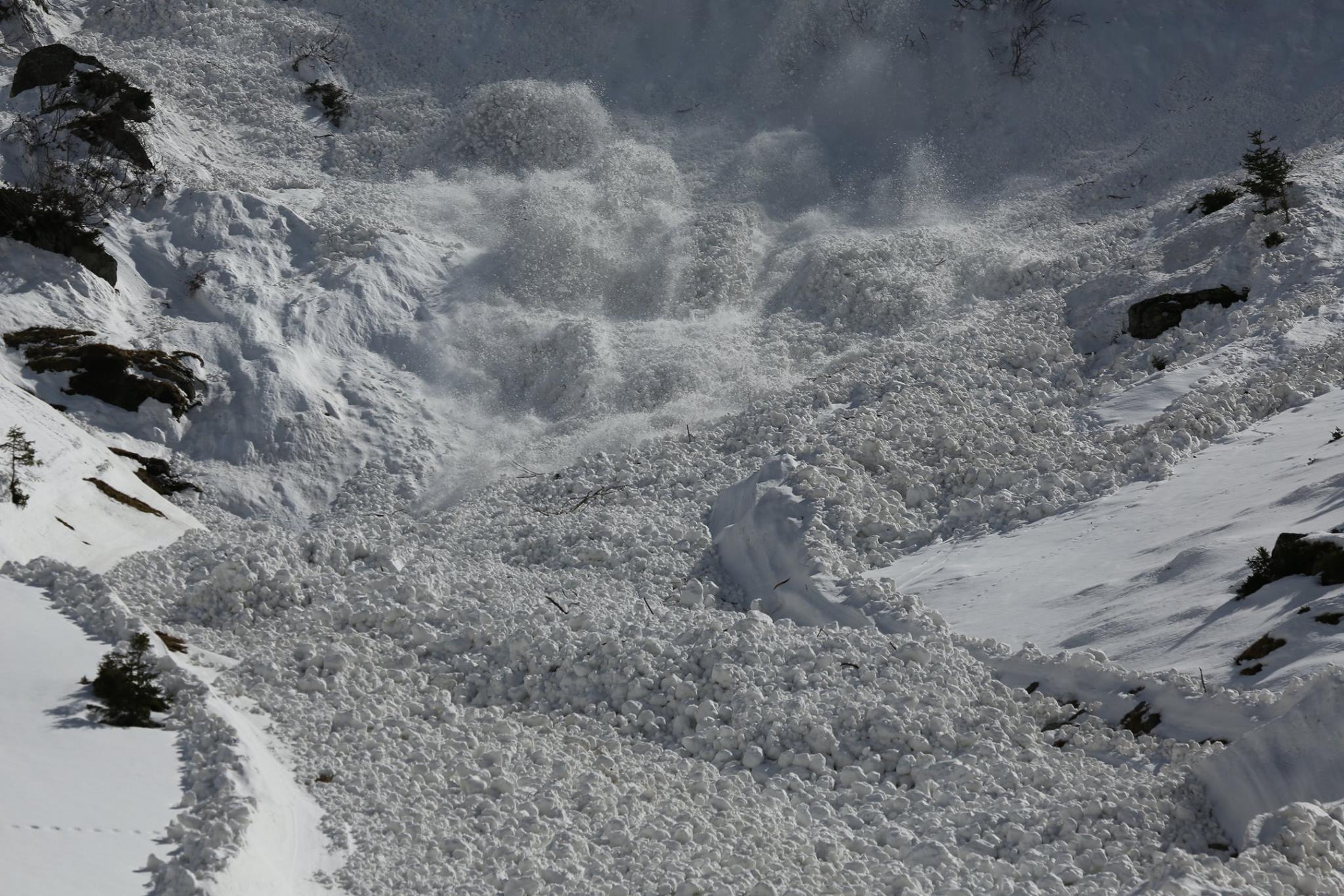 REPORTAJ/Povestea câinilor de avalanșă Helios și Dara sau încrederea de nezdruncinat dintre om şi animal: "Unde merg eu, merg şi ei"/ FOTO