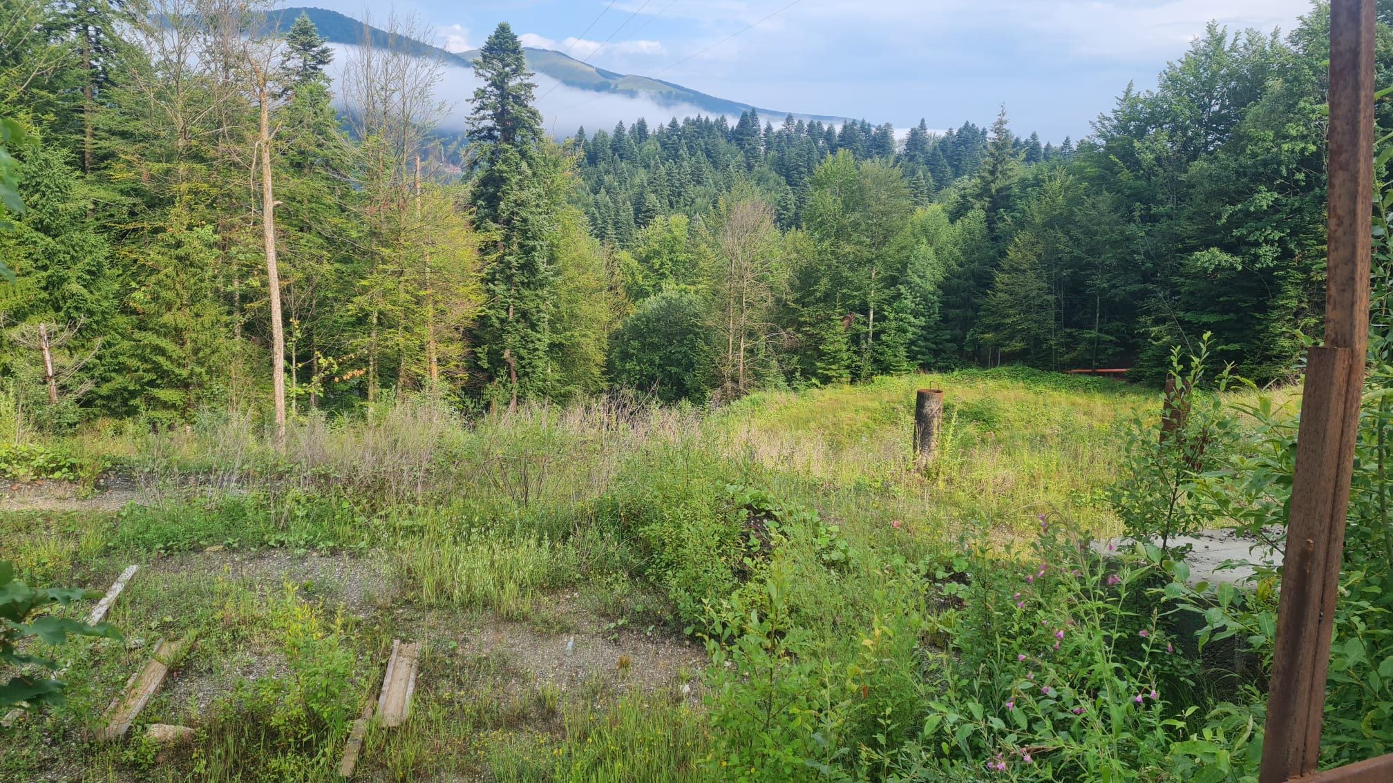 Proiectul Nordis Sinaia, unde un apartament era vândut cu peste 470.000 de euro, a rămas doar o groapă abandonată printre buruieni. Ce spun autoritățile din oraș
