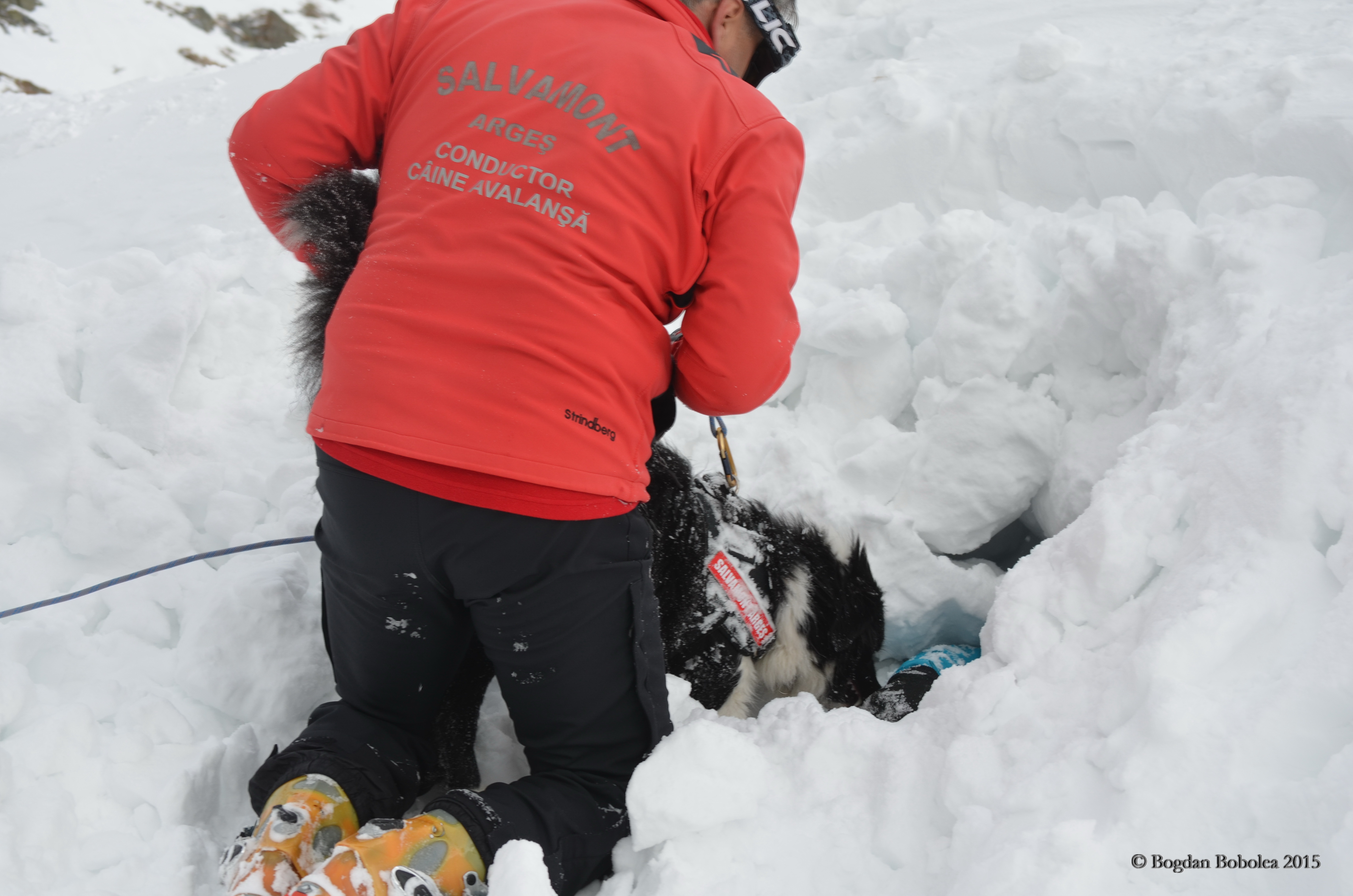 REPORTAJ/Povestea câinilor de avalanșă Helios și Dara sau încrederea de nezdruncinat dintre om şi animal: "Unde merg eu, merg şi ei"/ FOTO