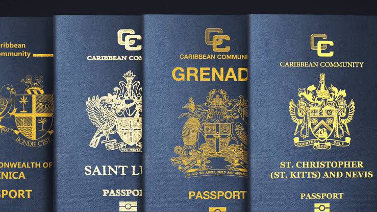 Inside the EU's crackdown on 5 Caribbean nations selling 'golden passports' to rich Africans from Nigeria, South Africa and 8 other countries