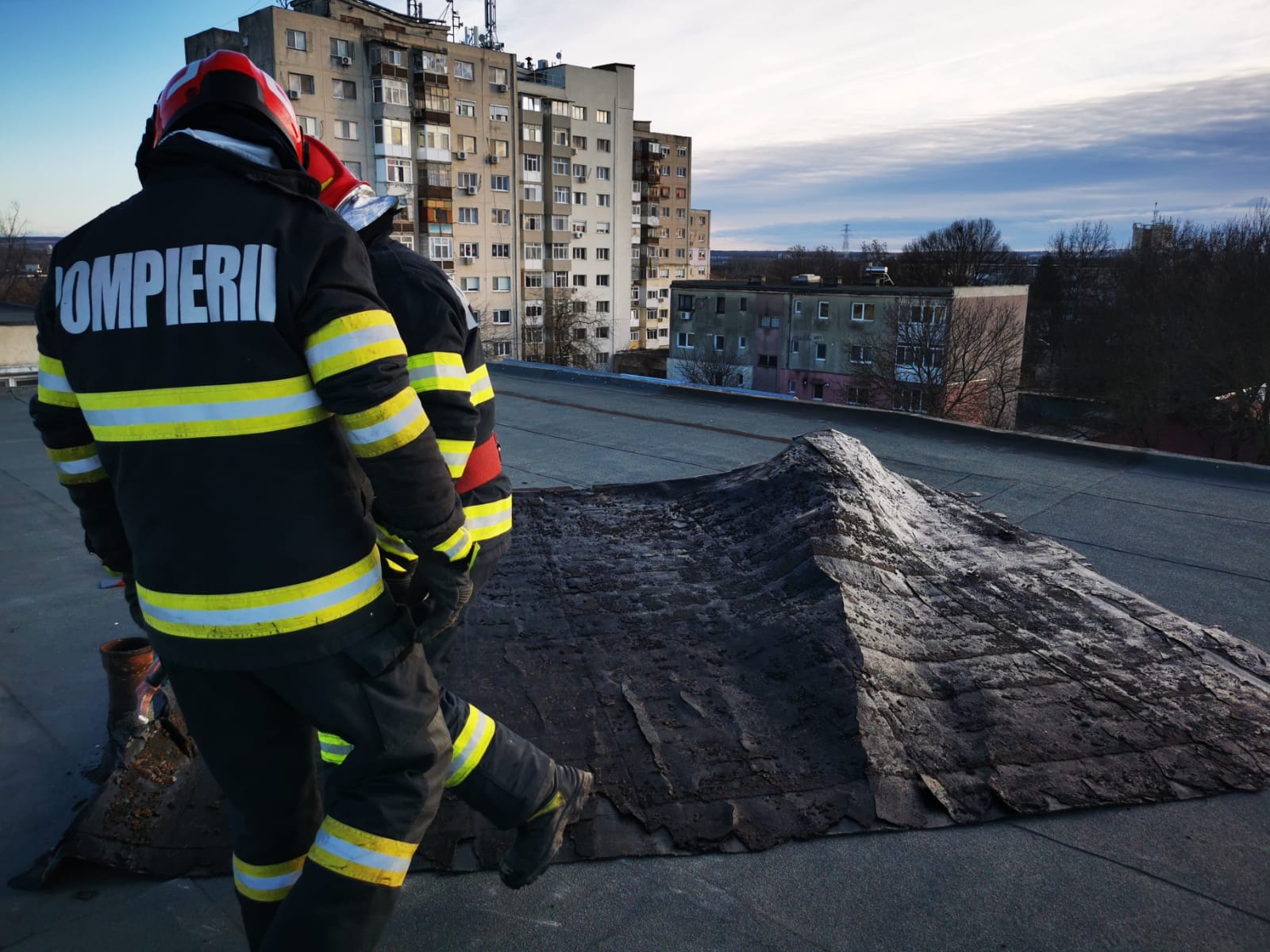 Alertă de vânt puternic în Giurgiu: mai mulți copaci, doborâți de rafalele puternice. Unul a căzut peste o mașină