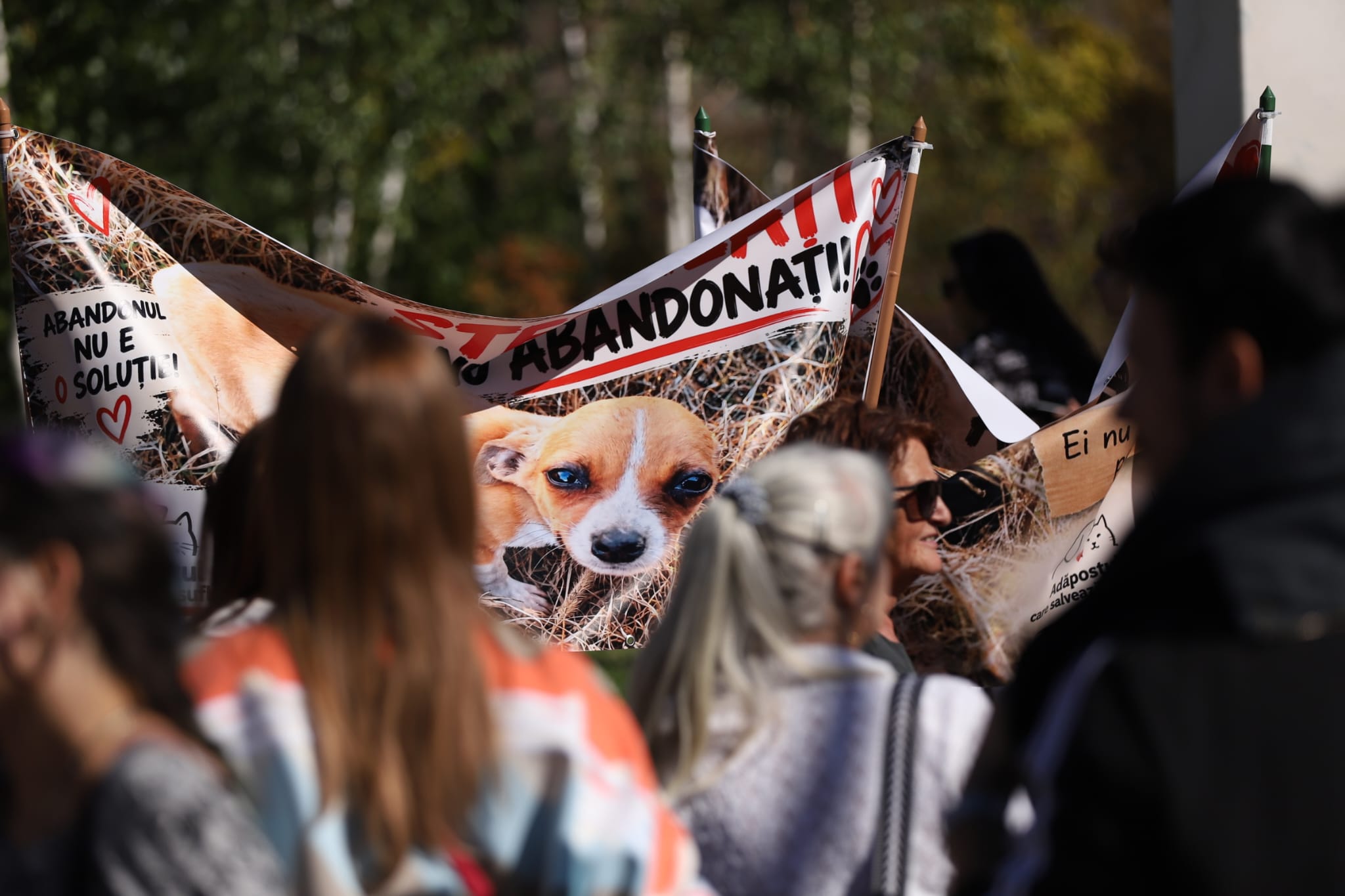 Raluca Bădulescu, prezentă la protestul pentru drepturile animalelor