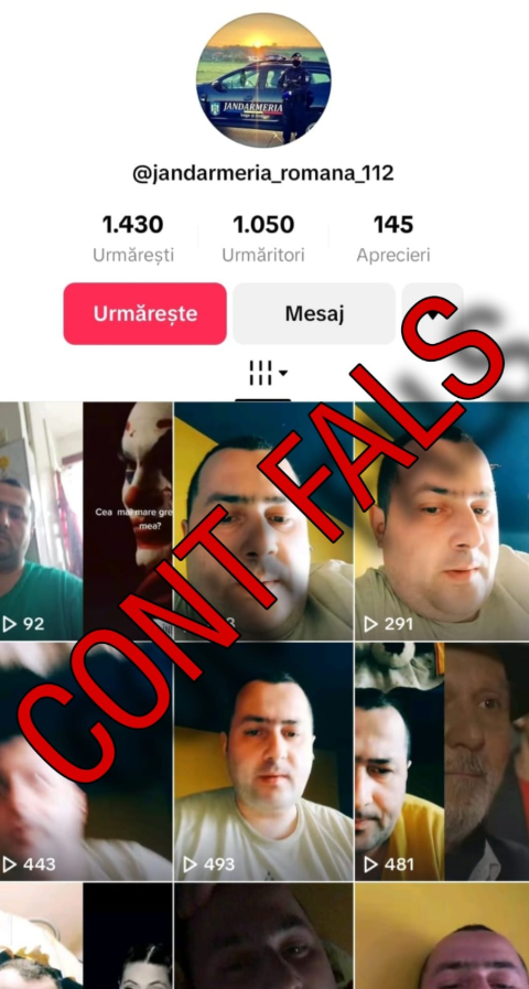 Atenție la polițiștii falși de pe TikTok. MAI a postat lista conturilor fake: „Vor să inducă în eroare cetățenii”