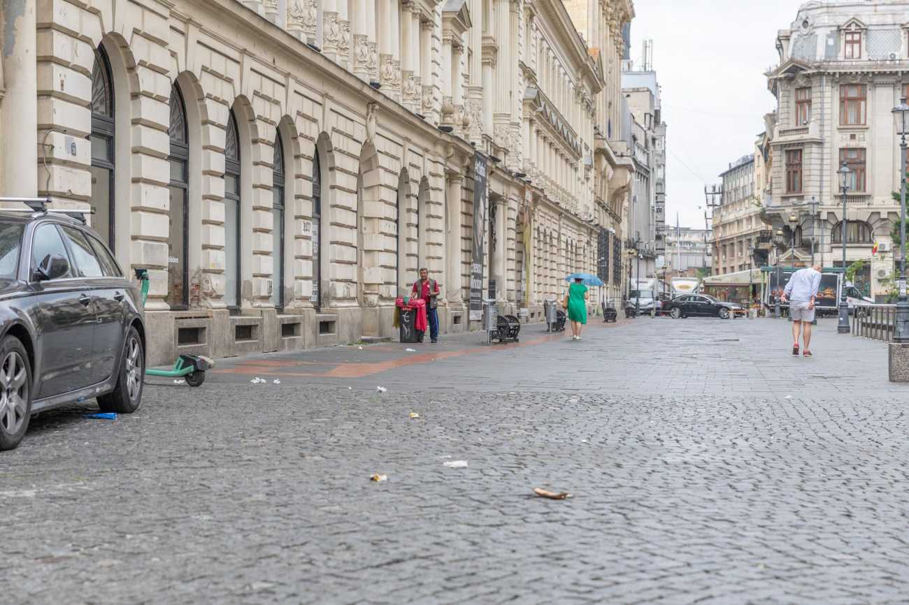 De ce sunt mulți șobolani în București. Primăria Capitalei a făcut un apel la locuitori pentru ca deratizarea să funcționeze