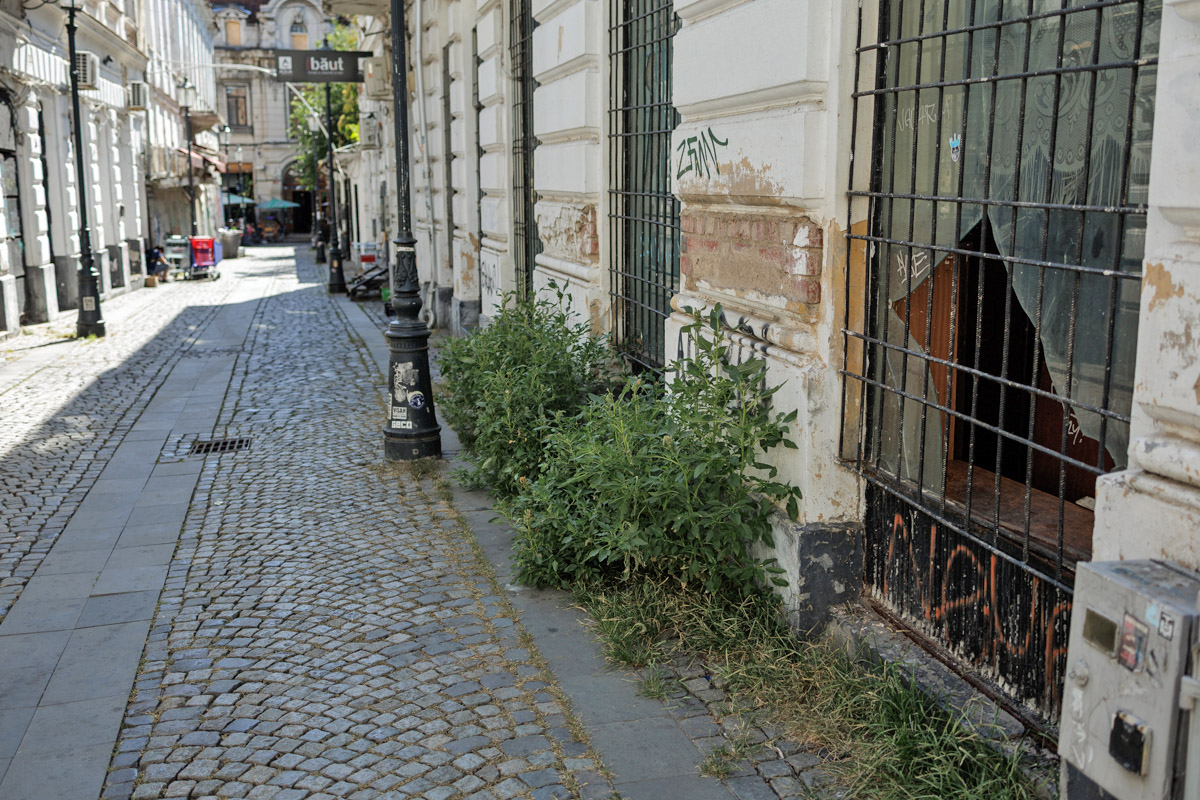 Curățarea Centrului Istoric a început, dar nu se vede. Cea mai profitabilă zonă turistică din București arată deplorabil