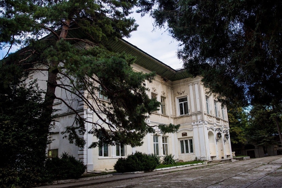 Castelul Cantacuzino-Ghica Deleni din județul Iași este scos la vânzare. Cât costă monumentul istoric impresionant / FOTO
