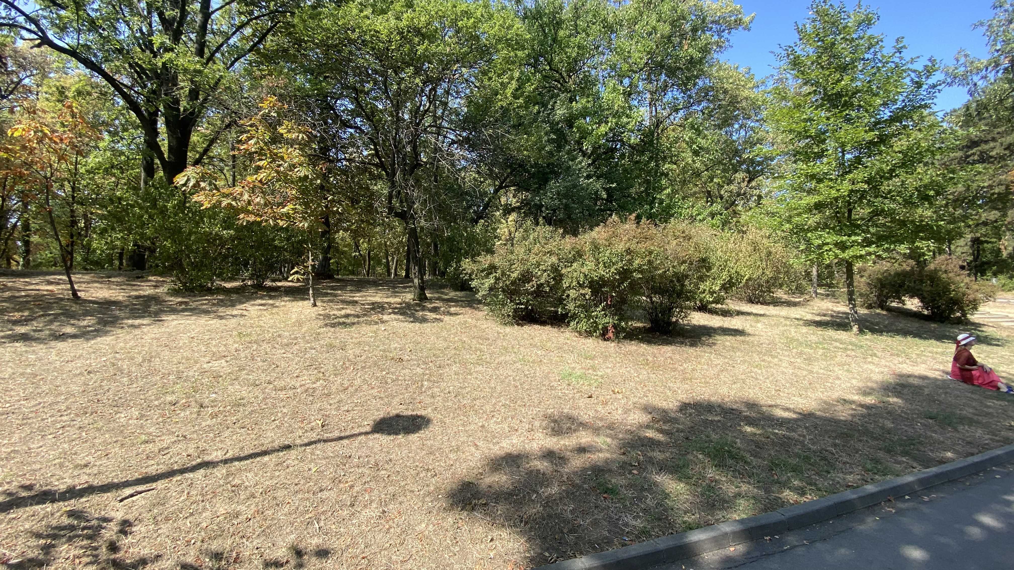 FOTO. Herăstrău, cel mai mare parc al Bucureștiului, arată mai rău ca niciodată. Trandafirii și zonele cu flori sunt istorie, clădirile pentru expoziții au fost vandalizate
