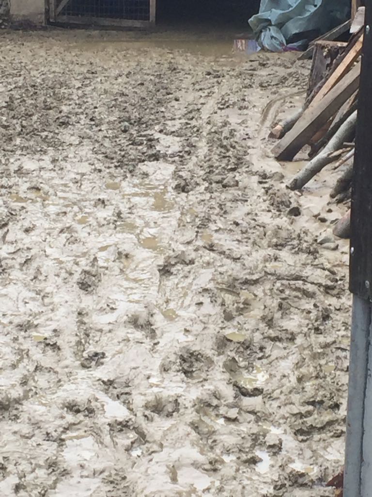 FOTO&VIDEO/ Zece locuințe inundate într-un sat din Vaslui. Oamenii s-au urcat în podurile caselor pentru a se salva