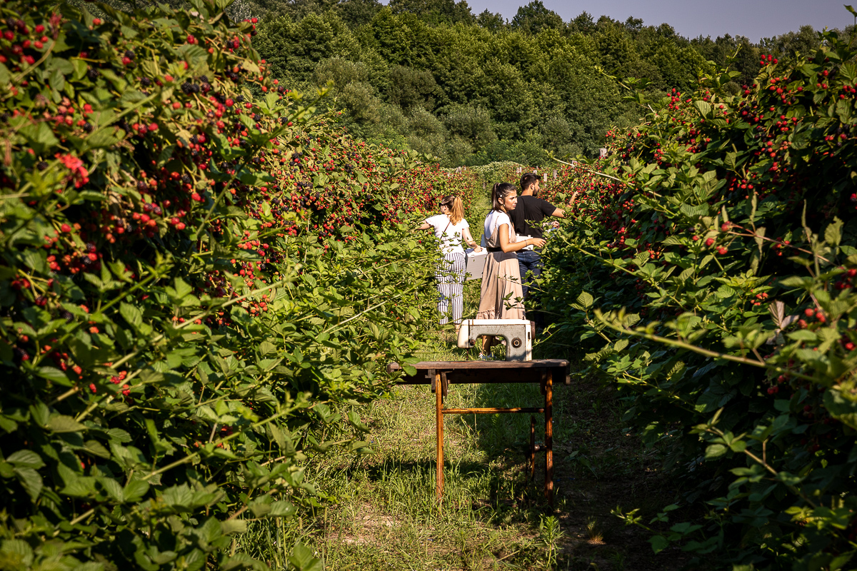 Trei generații au pus pe picioare o plantație de fructe de pădure în Gorj. Nepotul a dezvoltat afacerea, părinții au pus banii, bunica Mărioara coordonează muncitorii