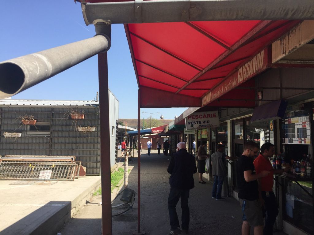 REPORTAJ: Lumea a treia în centrul Timișoarei, în fața unui super-centru de business. De la proiectul exemplu în arhitectură la nepăsare