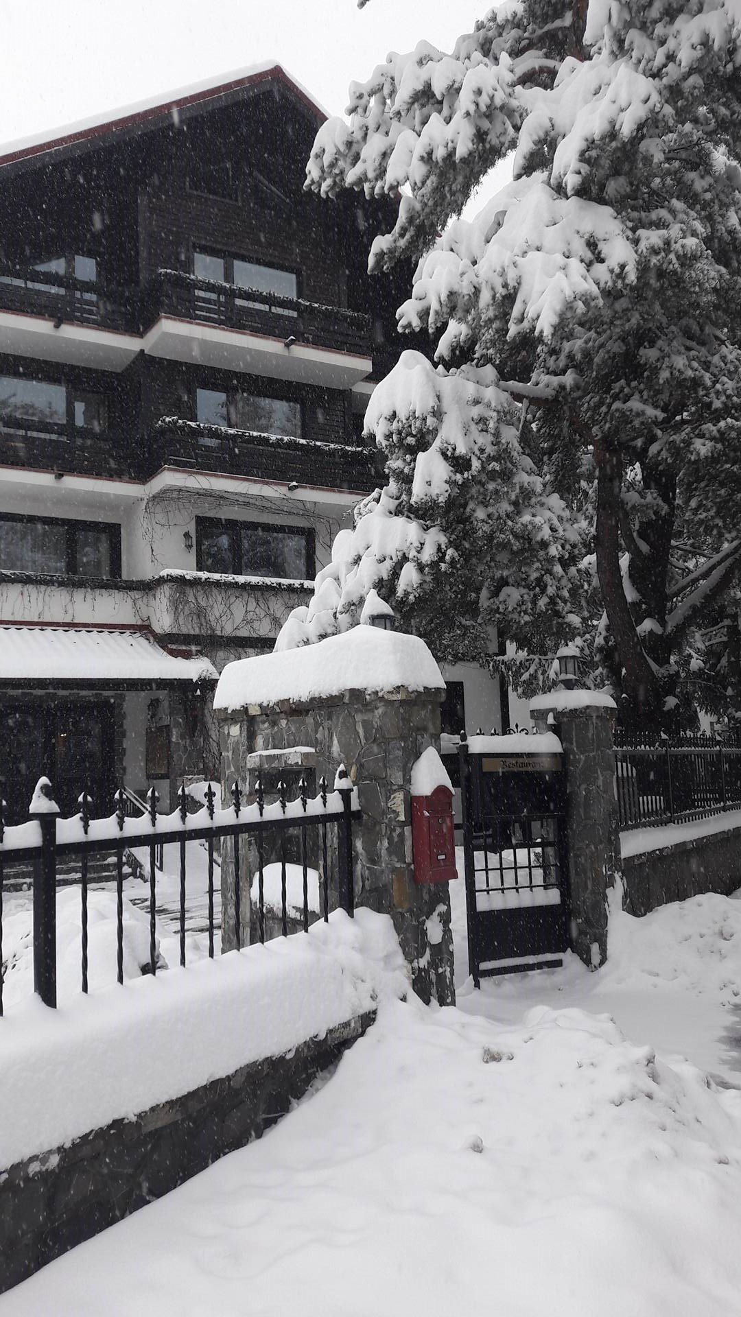 EXCLUSIV/Povestea brașoveanului Edömér Tóth, omul de afaceri de la care Simona Halep a cumpărat hotelul