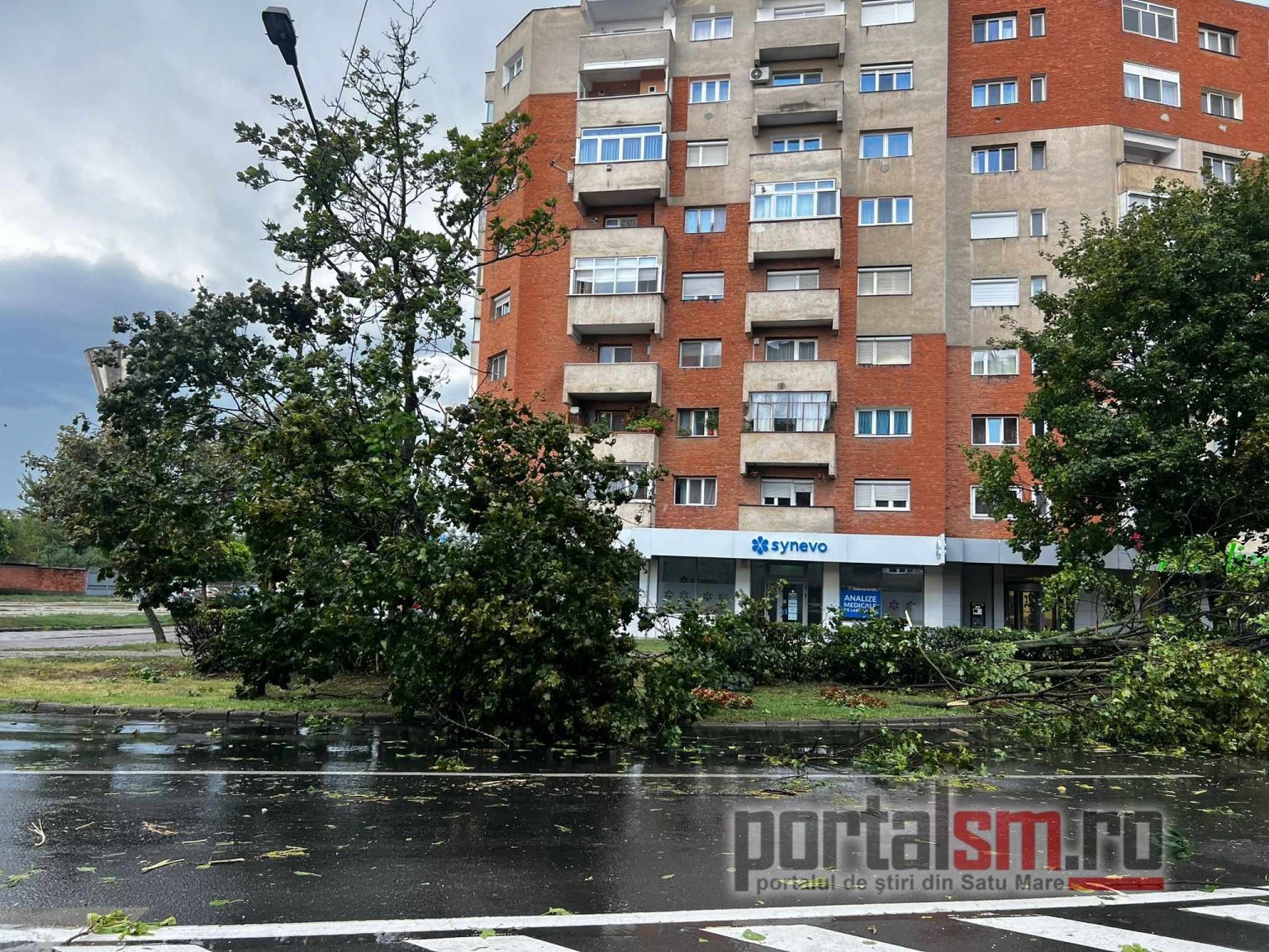 Pagube în mai multe județe din țară, în urma vijeliilor: zeci de copaci căzuți, mașini avariate și acoperișuri luate de vânt