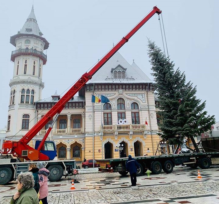 VIDEO&FOTO/ Bradul de Crăciun de la Buzău, donat de un localnic nevoit să-l taie: "Când s-au apropiat cu drujba de el, mi-au dat lacrimile"