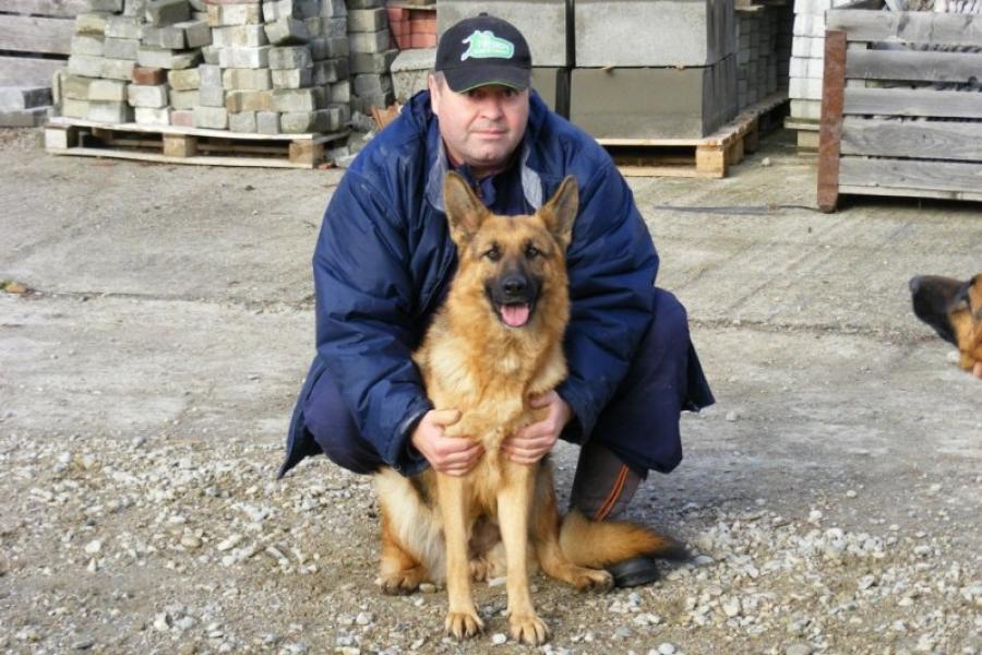 Medicul veterinar care tratează gratis câinii abandonați pe stradă în Bistrița. „Patrupedele sunt fidele, bipezii nu”