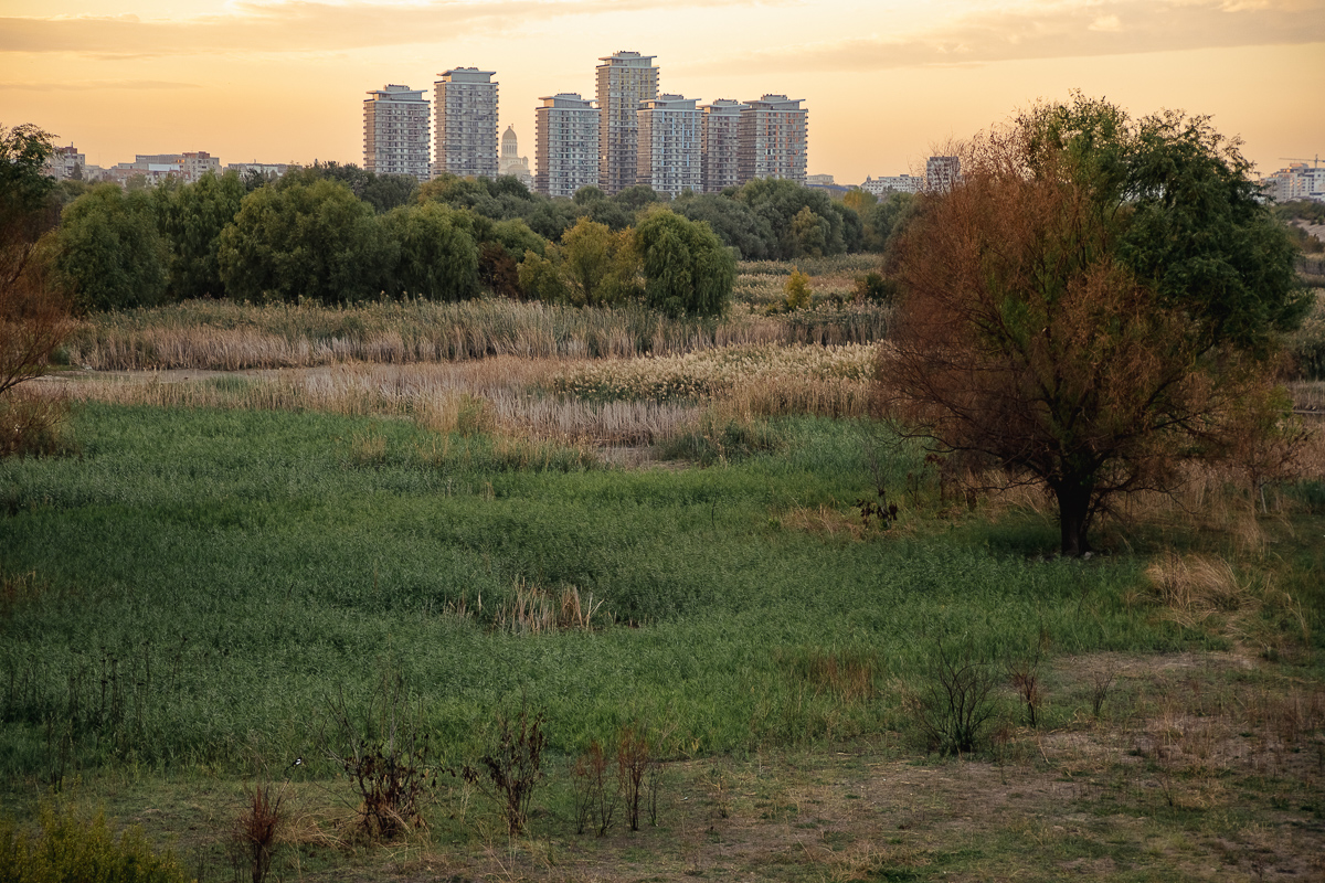 REPORTAJ. Cele mai frumoase imagini cu Delta Văcărești: ultimele zile de toamnă însorită, la ofertă