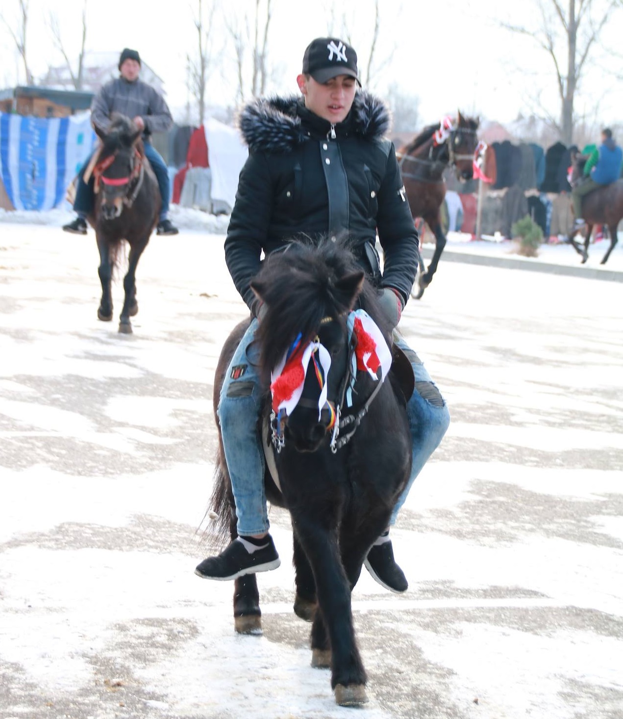 REPORTAJ: Localnicii din orașul lui Nea Mărin şi-au botezat caii pentru a-i feri de boli. Imagini superbe cu cei mai frumoși cai/ GALERIE FOTO