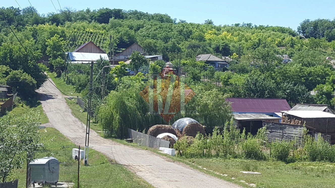 O fetiță și-a văzut mama murind. Femeia a fost omorâtă în bătaie