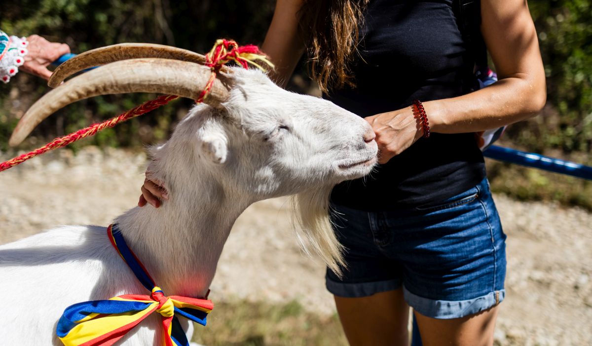 Cinci locuri pe care e musai să le vezi, chiar dacă pentru asta trebuie să te duci până la Cucuieții din Deal. Povestea bisericii de lemn cu tavan de stele