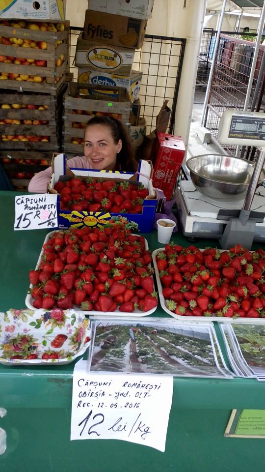 VIDEO EXCLUSIV/Au muncit din greu în Anglia, dar au venit acasă să facă agricultură. Șapte olteni au reînviat C.A.P.-ul!