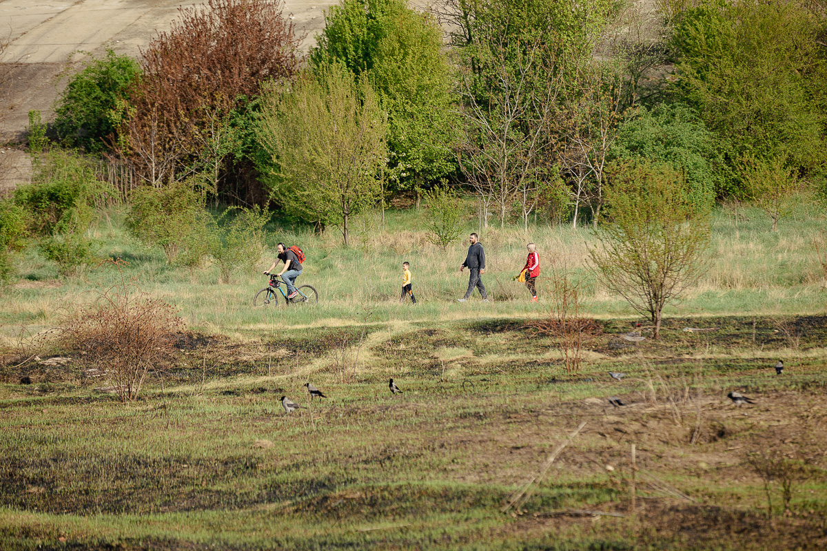 De ce arde Parcul Văcărești? Fără pază și fără regulament, „delta dintre blocuri” a ajuns un focar constant de incendii