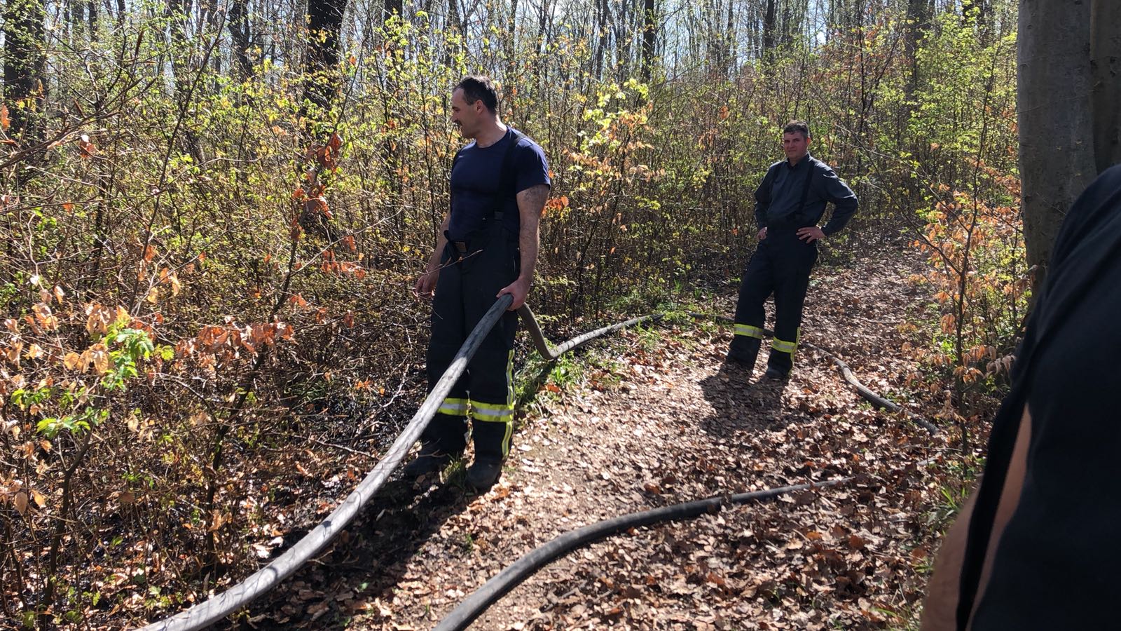 Incendiu de pădure la Răcădău, în Braşov. Au ars 500 de metri pătrați de lizieră/ FOTO