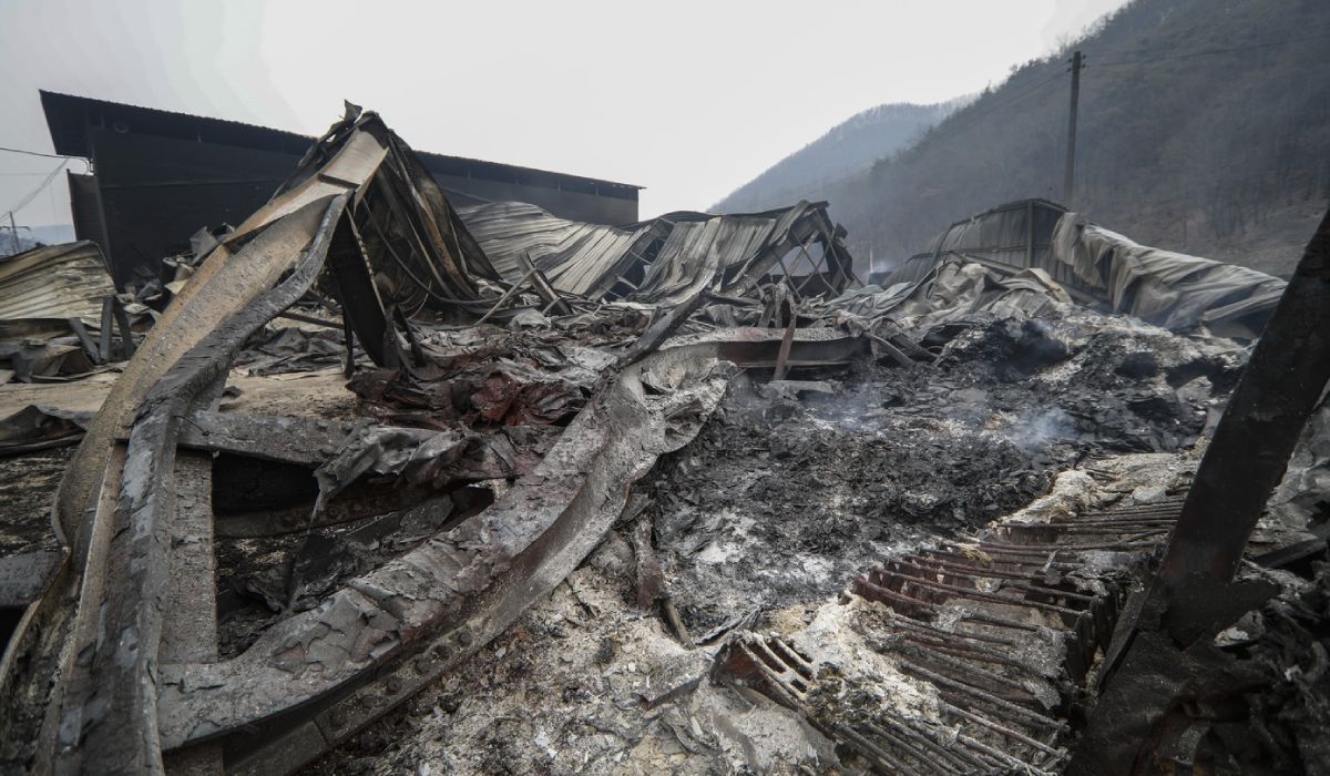 26 de morți și zeci de mii de strămutați, în cele mai mari incendii din istoria Coreei de Sud
