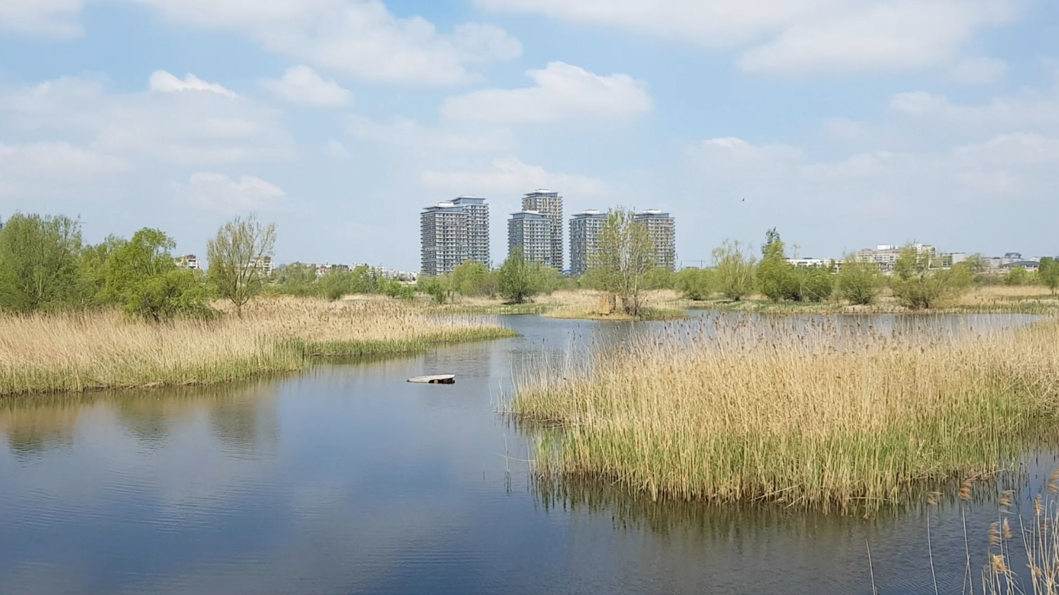 VIDEO | Văcărești, drumul de la groapă de gunoi la parc natural. Florin Stoican, geologul care a creat “delta dintre blocuri”, vrea să o transforme într-o ambasadă a biodiversității