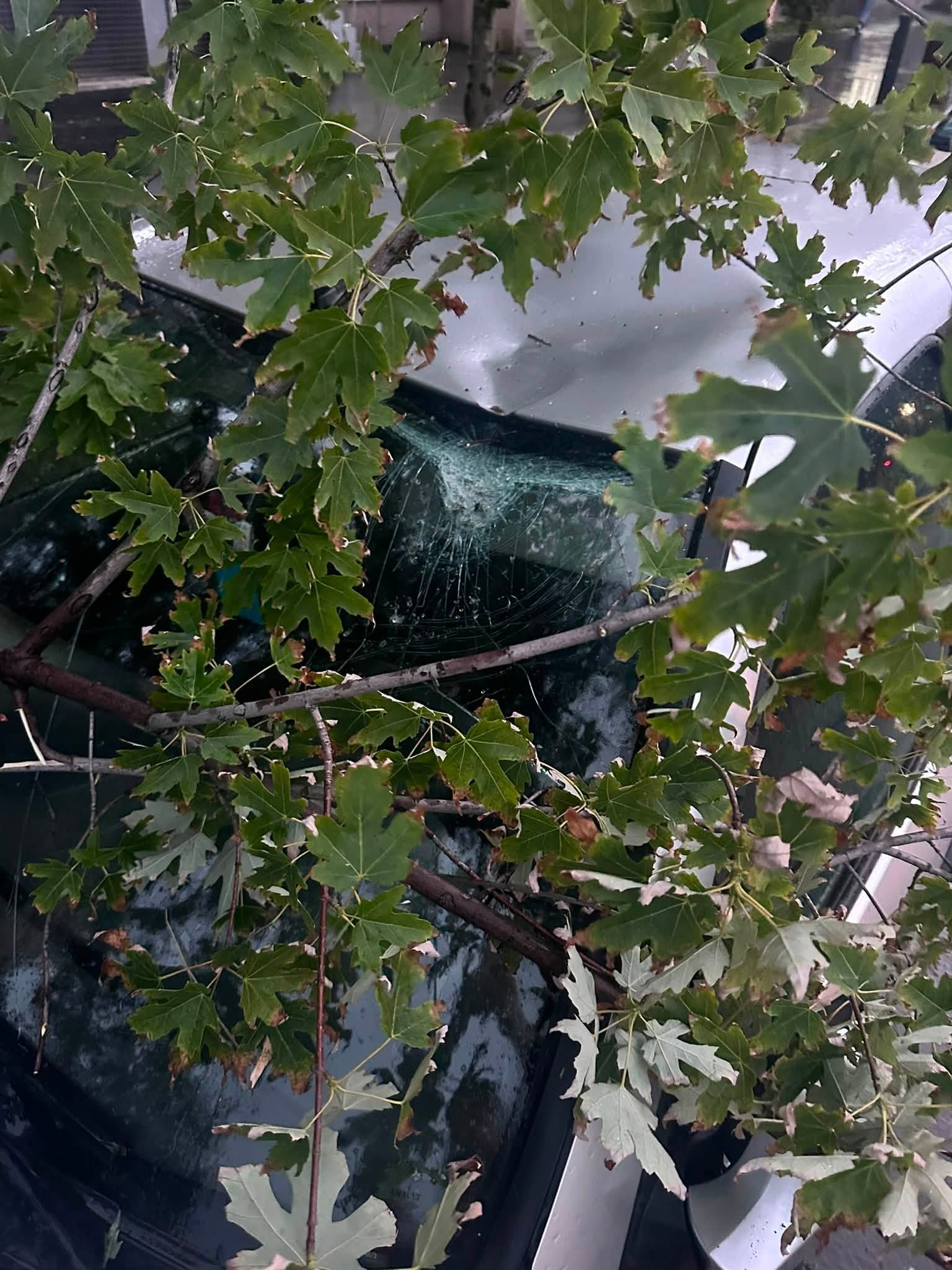 Furtună puternică în București: ANM a emis un cod portocaliu de vijelii și grindină pentru această seară. A fost emisă avertizare RO-Alert
