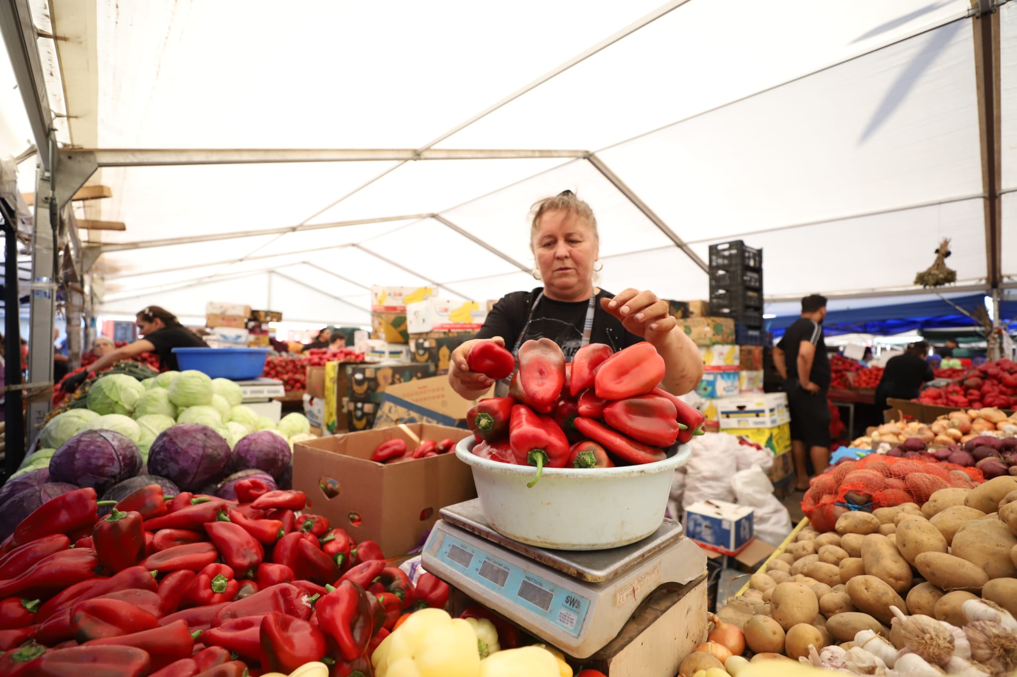 Cât costă să cumperi ingrediente pentru 10 borcane de zacuscă: calculul pentru rețeta tradițională cu vinete, ardei kapia, gogoșari și ceapă