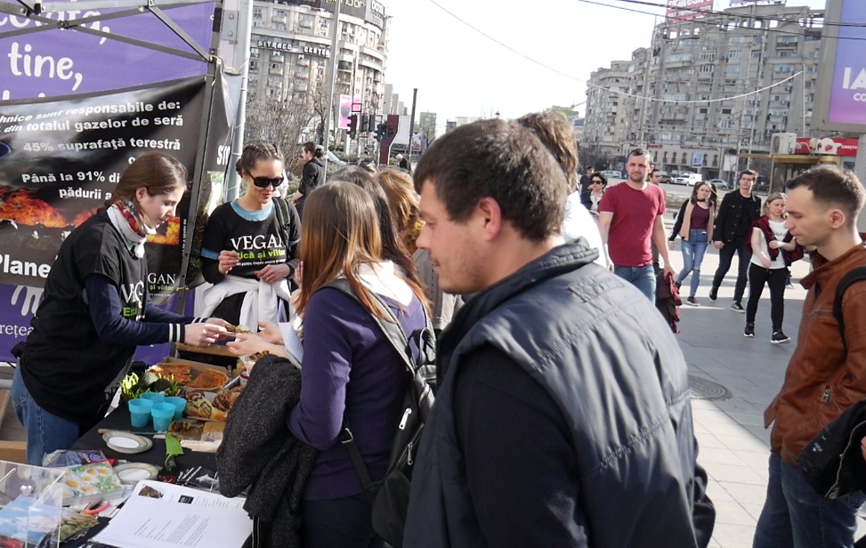 VIDEO Veganii au protestat în mai multe locuri din București: „Carnea e o crimă”