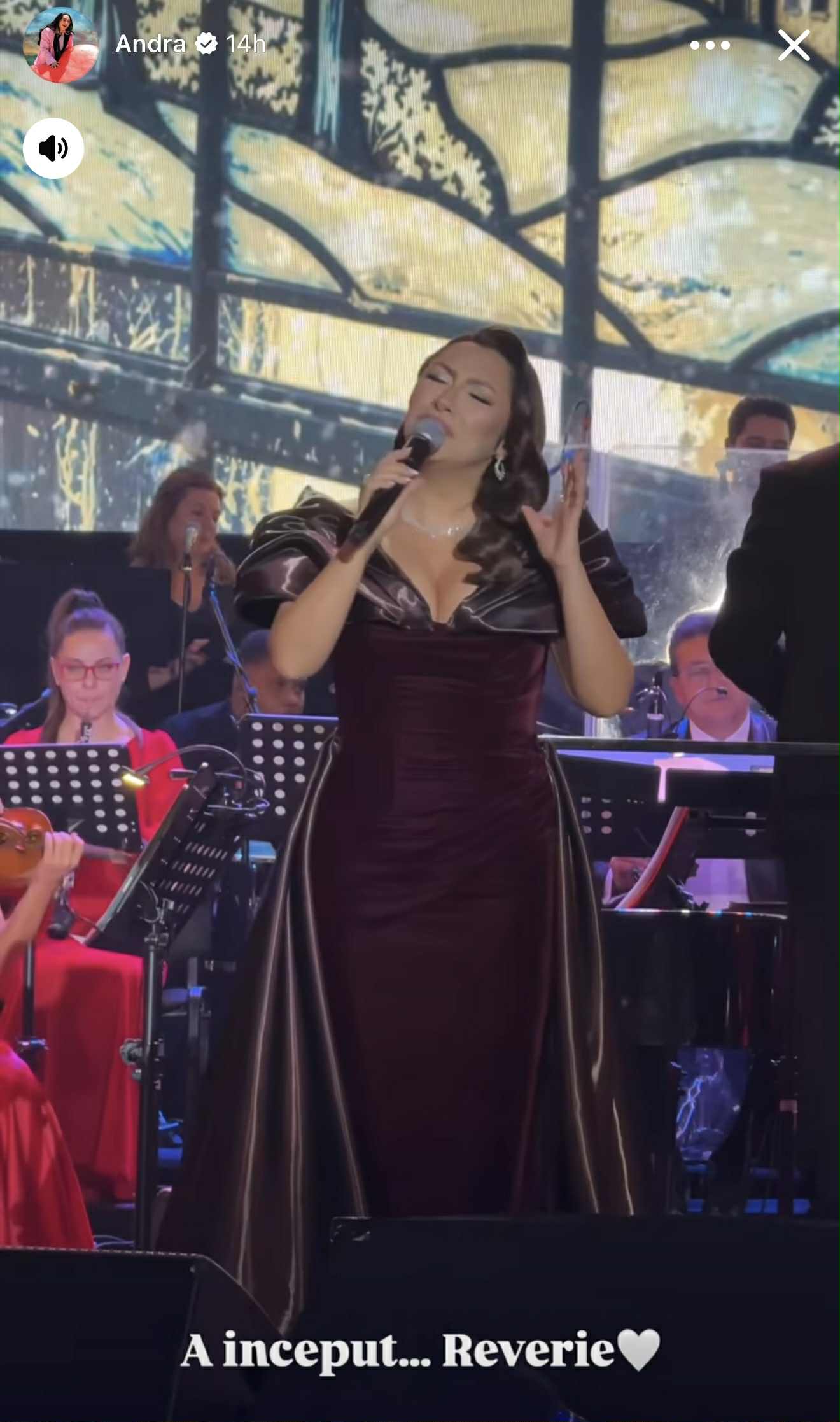 Cum au apărut Andra și Eva Măruță la concertul de Crăciun. Artista și-a dat fanii pe spate cu invitatul ei special