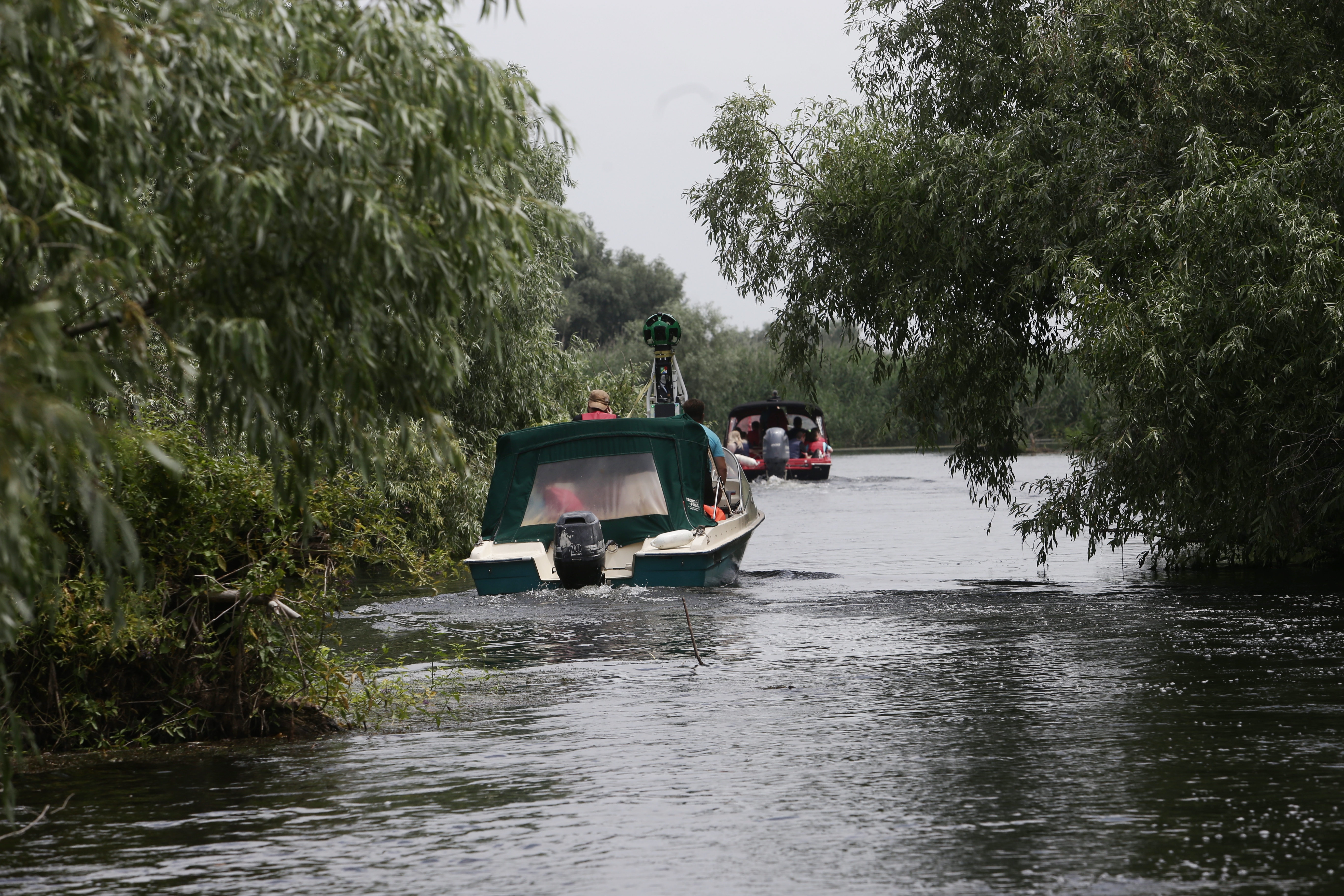 FOTOREPORTAJ/ Prin Delta Dunării, în căutarea sălbăticiei