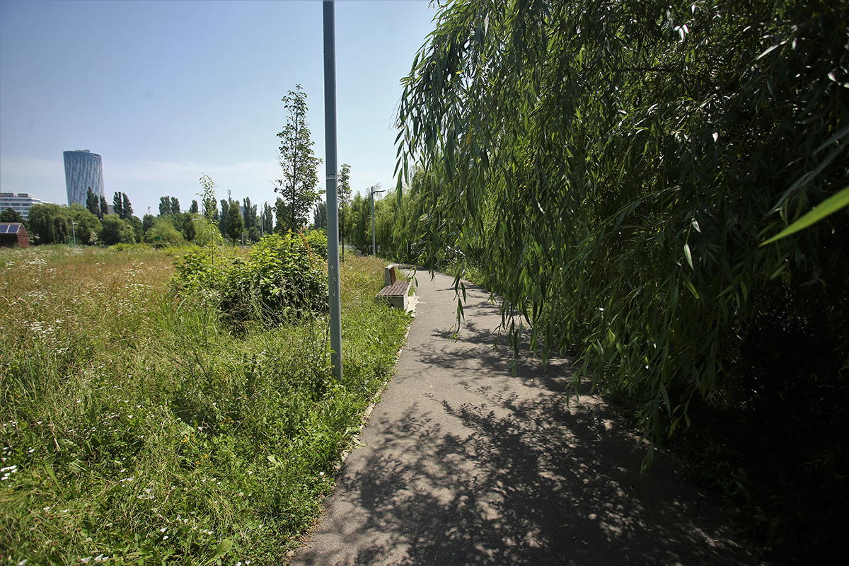 Jungla din nordul Bucureștiului. Cum au ajuns să arate două dintre „oazele de relaxare” ale Capitalei