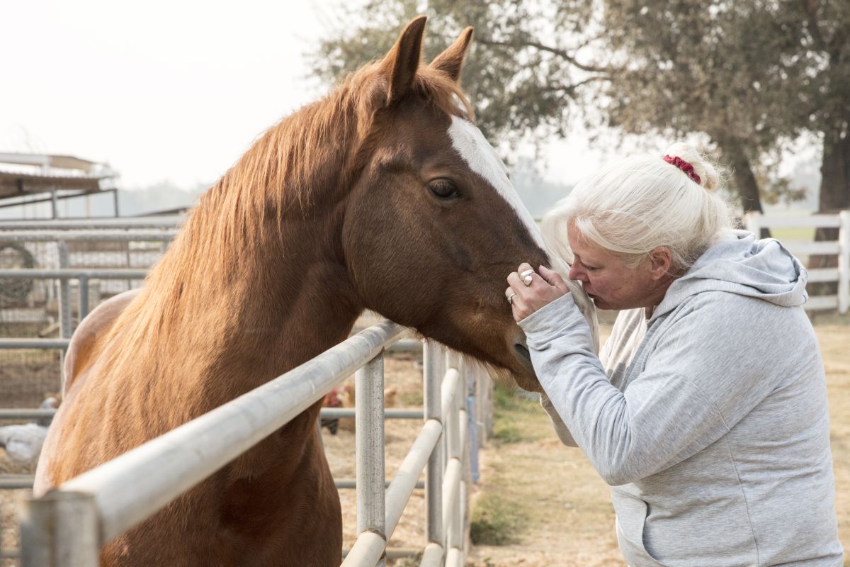 Sandra Bullock donează 100.000 de dolari pentru a ajuta la salvarea animalelor prinse în incendiile din California
