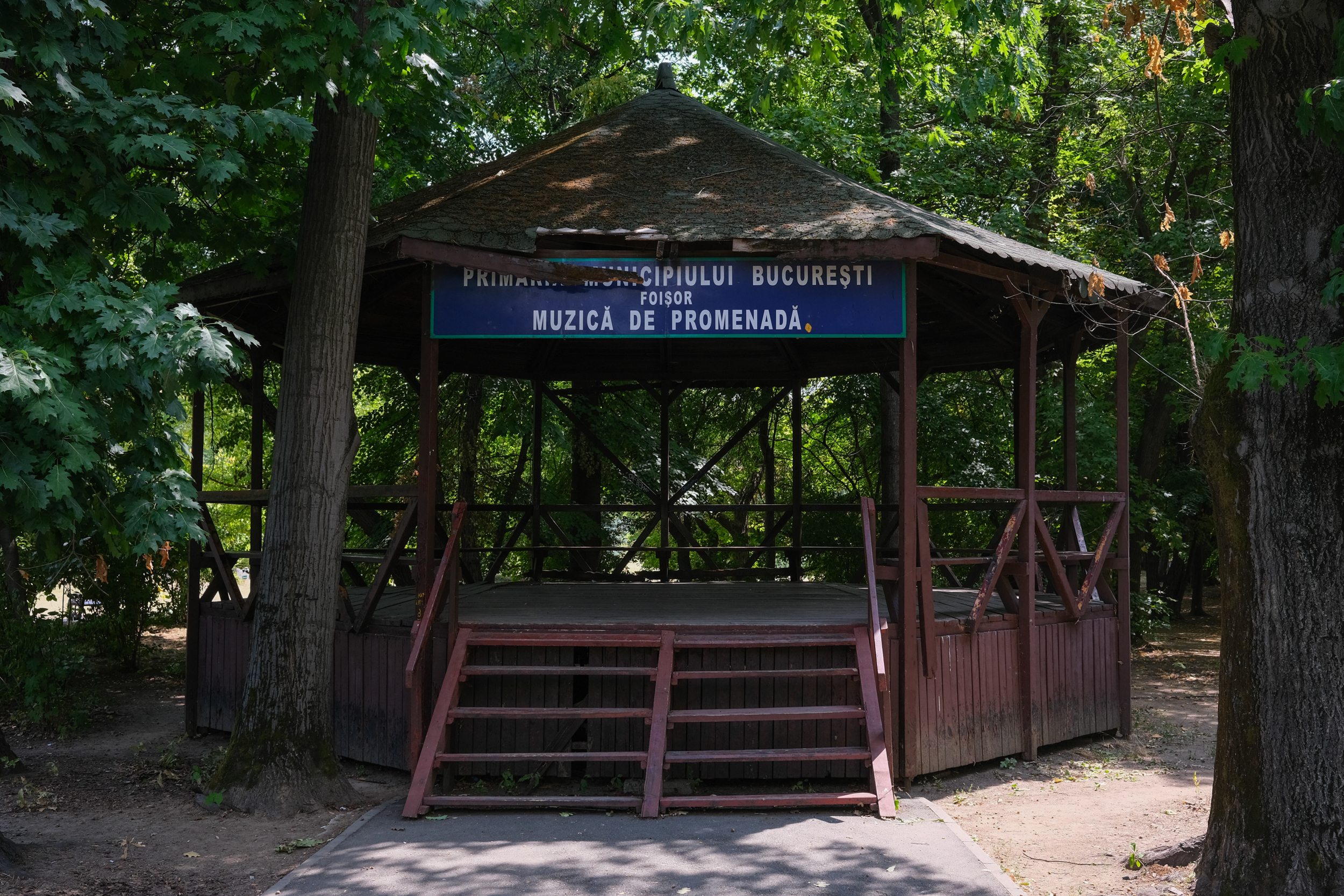 Parcul Herăstrău, degradarea continuă. Bănci rupte, iarbă lipsă, alei crăpate și arteziene fără apă