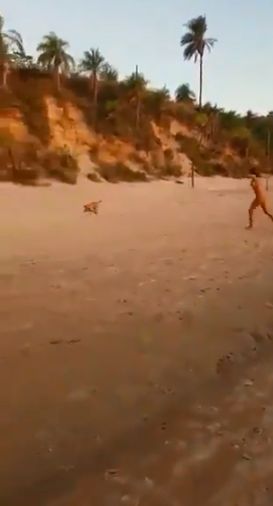 Pățania unei turiste pe o plajă din Mexic. Un câine a lăsat-o fără slip! | FOTO