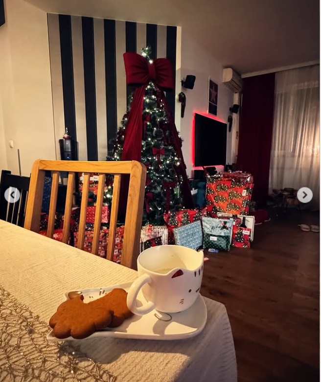 Imagini din casa în care locuiesc Giulia Anghelescu și Vlad Huidu. Au renovat-o de Crăciun: „Am schimbat parchetul în living, am schimbat o baie”