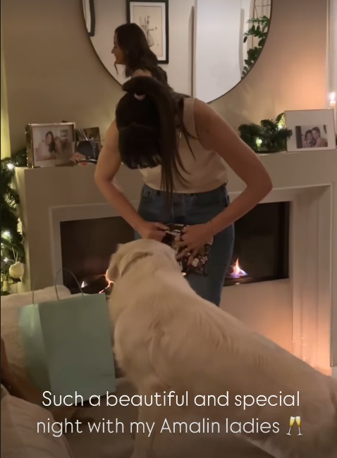 Imagini din casa Andreei Raicu, decorată de Crăciun. În sufragerie are bradul împodobit și șemineul pe care a așezat poze nemaivăzute