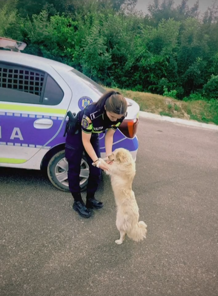 Mesajul emoționant al polițiștilor din Botoșani, după moartea tragică a colegei lor, la doar 23 de ani: „Plecarea ei lasă un gol imens în sufletele noastre”